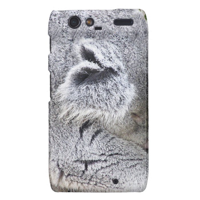 Charming Sleeping Australian Koala Droid RAZR Cover