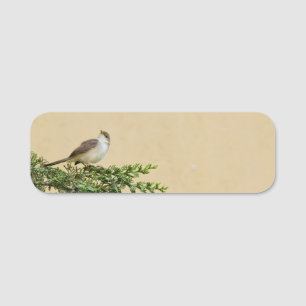 Charming Sparrow Bird Photograph Name Tag