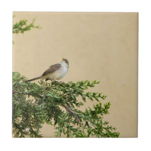 Charming Sparrow Bird Photograph Tile