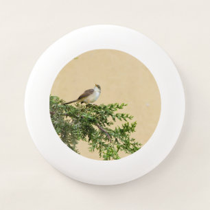 Charming Sparrow Bird Photograph Wham-O Frisbee