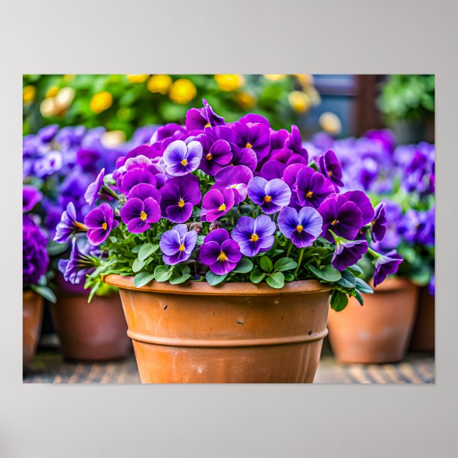 Charming violet flower pot poster (Front)