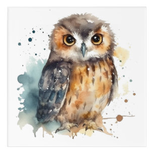 Charming Watercolor Woodland Owl Art