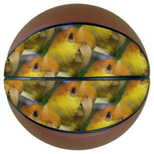 Charming White Bellied Caique Parrot Basketball