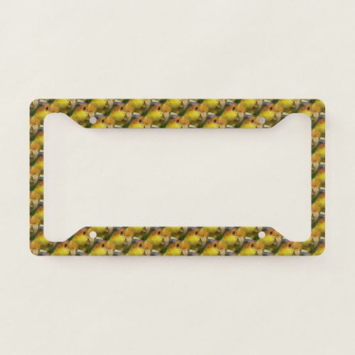 Charming White Bellied Caique Parrot License Plate Frame