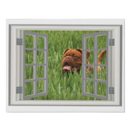 Charming Window Amazing Photo Faux Canvas Print