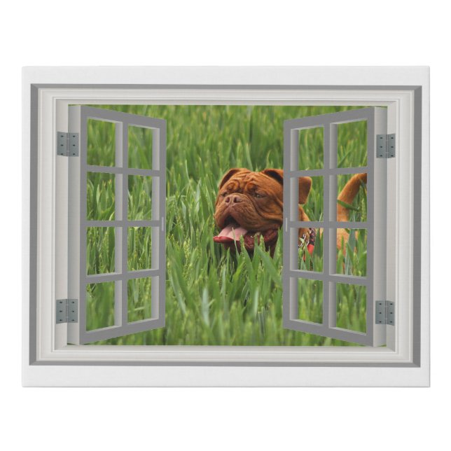 Charming Window Amazing Photo Faux Canvas Print (Front)
