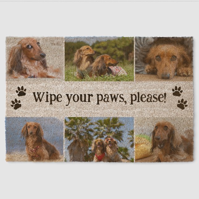 Charming Wipe Your Paws 6 Dog Photos Fiber Doormat (Front)