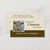 Charolais beef steer or heifer business card (Front/Back)