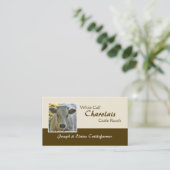 Charolais beef steer or heifer business card (Standing Front)