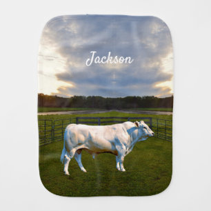 Charolais Bull    Baby Bib