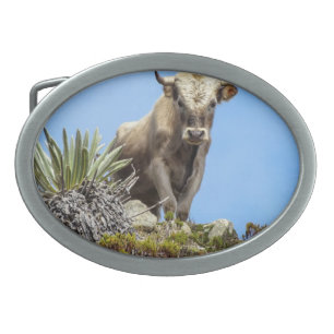 Charolais Bull Belt Buckle