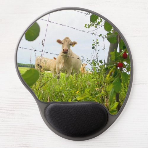 Charolais Cattle Behind Fence in Pasture Gel Mouse Pad
