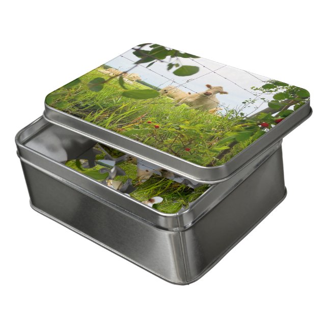 Charolais Cattle Behind Fence in Pasture Jigsaw Puzzle (Lid Open)