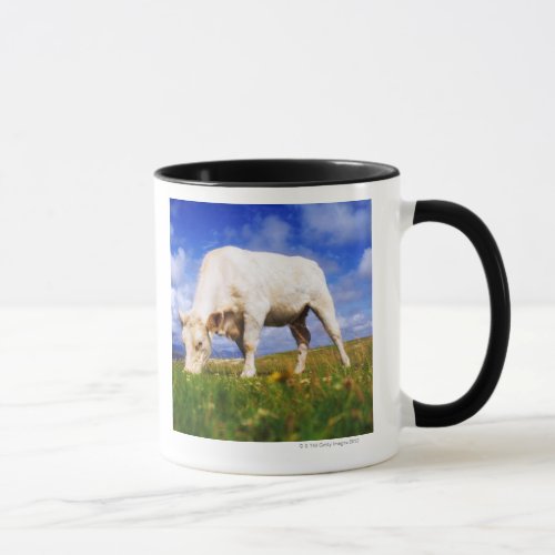 Charolais Cow Grazing Mannin Bay Ireland Mug