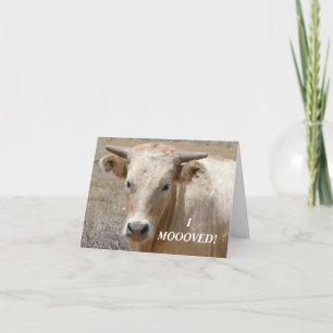 Charolais White Cow - Western Change of Address Announcement
