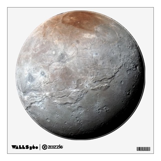 Charon Wall Decal (Front)