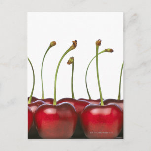 Charries shot in the foreground of the postcard