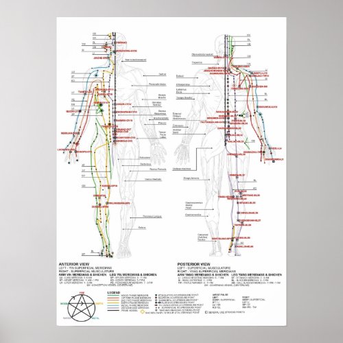 Chart of Human Meridians