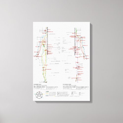 Chart of Human Meridians Canvas Print