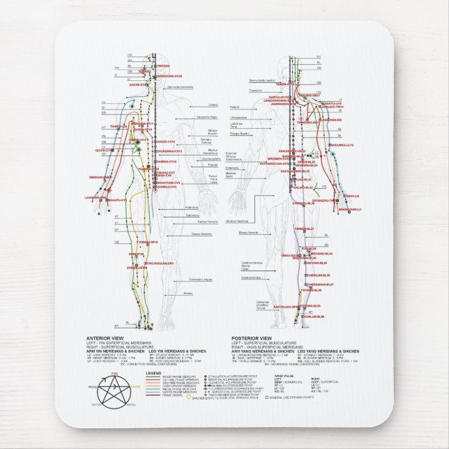 Chart of Human Meridians Mouse Pad (Front)