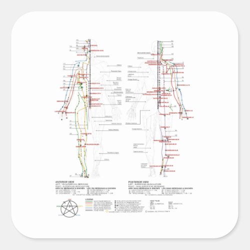 Chart of Human Meridians Square Sticker