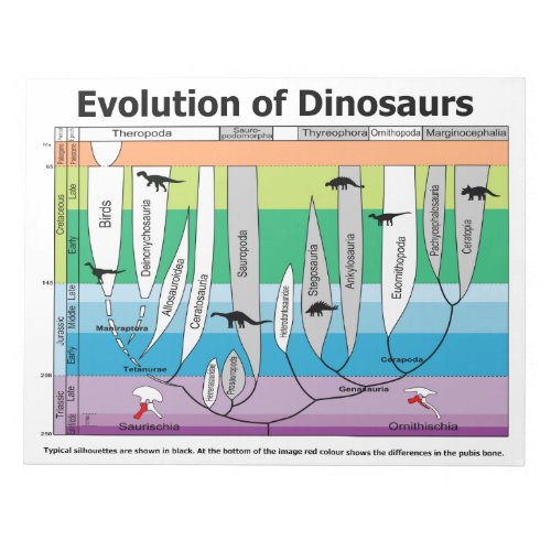 Chart of the Evolution of Dinosaurs Notepad