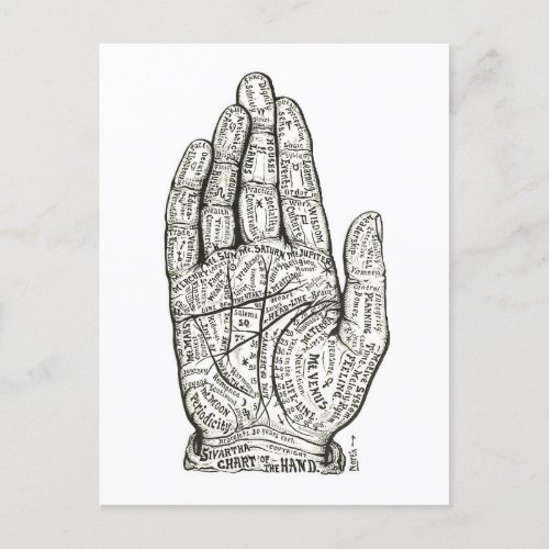 Chart of the Hand for Palm Reading  Palmistry Postcard