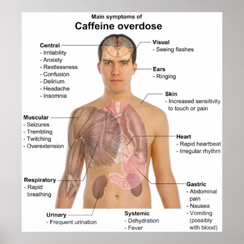 Chart of the Main Symptoms of a Caffeine Overdose
