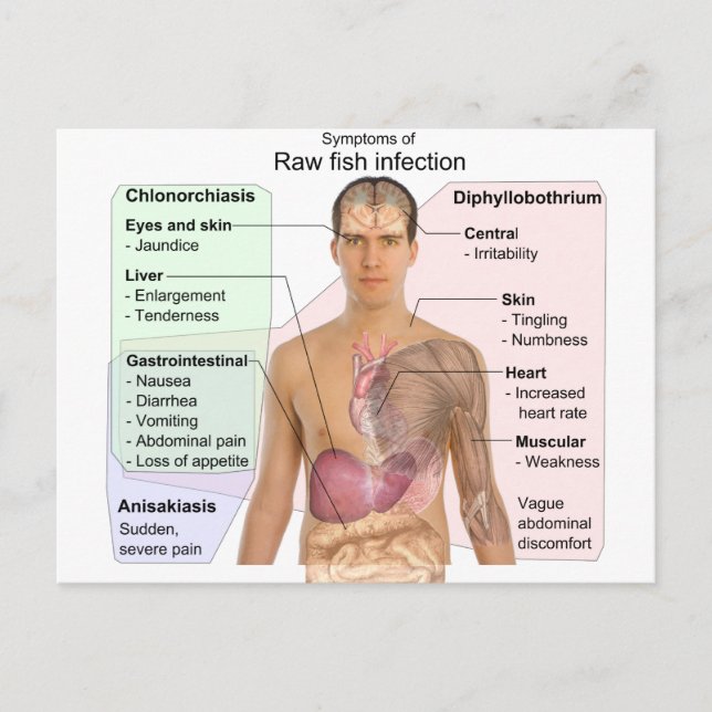 Chart of the Symptoms of Raw Fish Infection Postcard (Front)