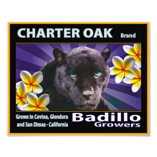 Charter Oak citrus fruits packing label Photo Print