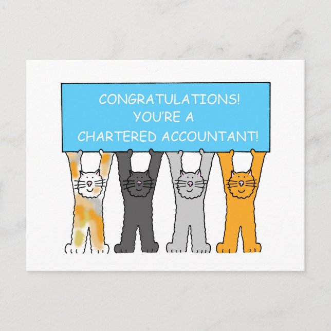 Chartered Accountant Congratulations Cartoon Cats Postcard (Front)