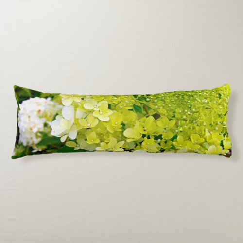 Chartreuse Green Limelight Hydrangea Body Pillow