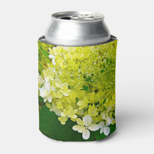 Chartreuse Green, Limelight Hydrangea, Can Cooler