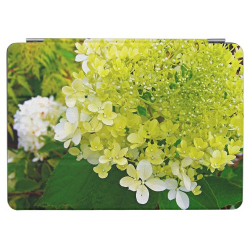 Chartreuse Green Limelight Hydrangea iPad Air Cover