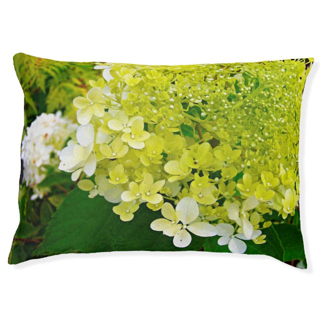 Chartreuse Green, Limelight Hydrangea, Pet Bed (Front)