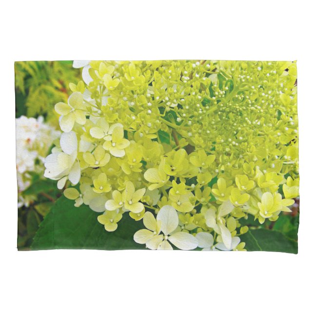 Chartreuse Green, Limelight Hydrangea, Pillow Case (Front)