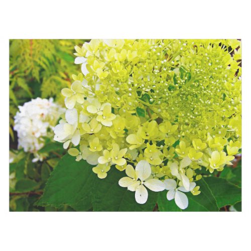 Chartreuse Green Limelight Hydrangea Tablecloth