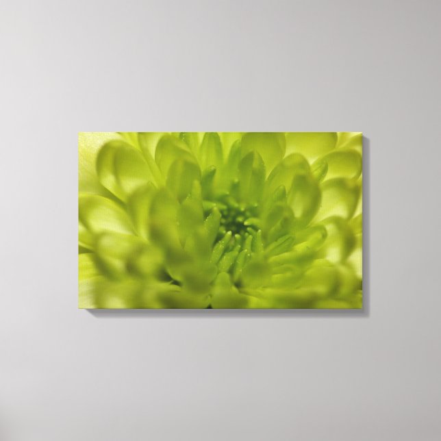 Chartreuse Green Mum Wrapped Canvas Print (Front)