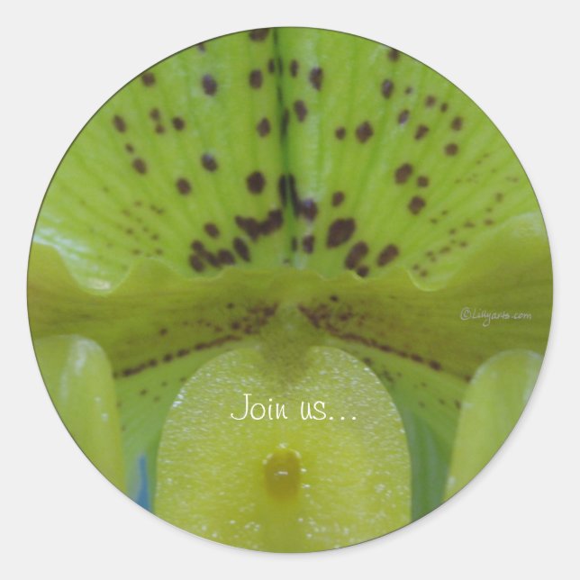 Chartreuse Green Slipper Orchid Wedding Seals (Front)