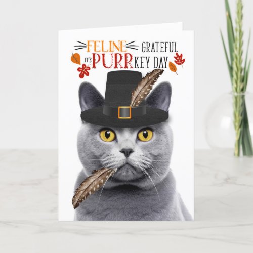 Chartreux Gray Cat Feline Grateful for PURRkey Day Holiday Card