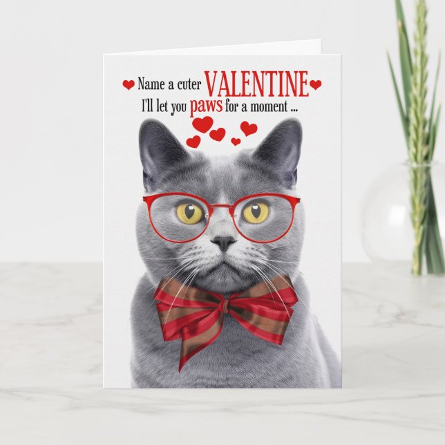 Chartreux Gray Cat Feline Humor Valentine's Day Holiday Card (Front)