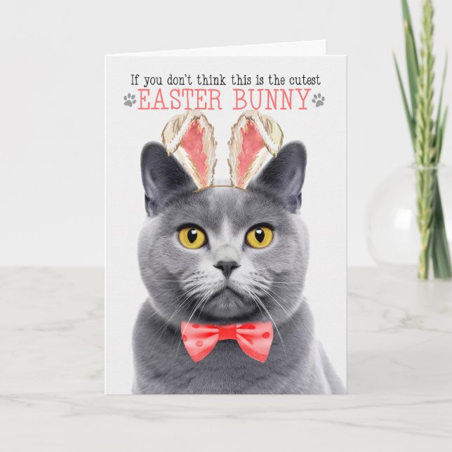 Chartreux Gray Cat in Bunny Ears for Easter Holiday Card (Front)