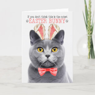 Chartreux Gray Cat in Bunny Ears for Easter Holiday Card