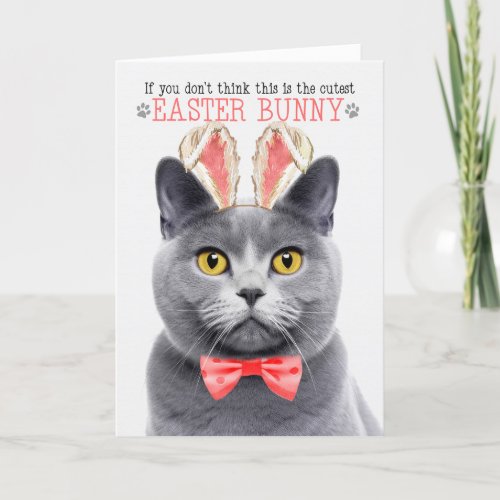 Chartreux Gray Cat in Bunny Ears for Easter Holiday Card
