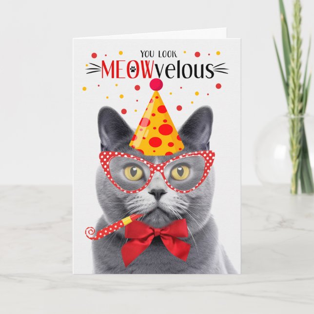 Chartreux Gray Cat MEOWvelous Birthday Card (Front)