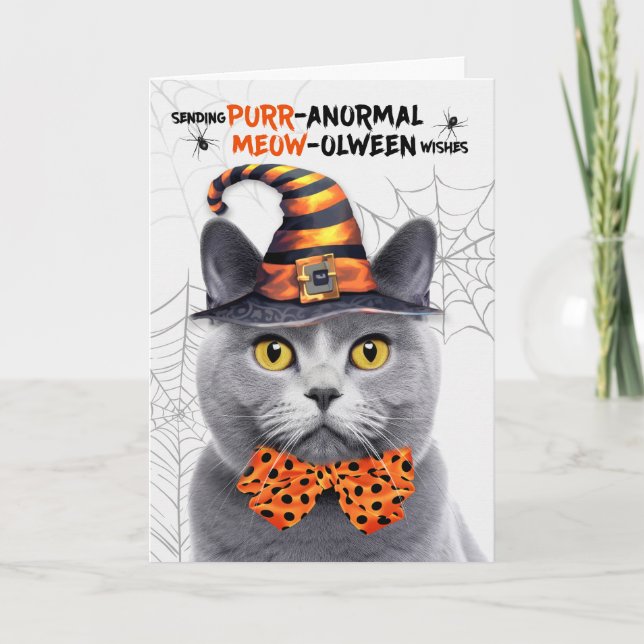 Chartreux Halloween Cat PURRanormal MEOWolween Holiday Card (Front)