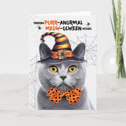 Chartreux Halloween Cat PURRanormal MEOWolween Holiday Card