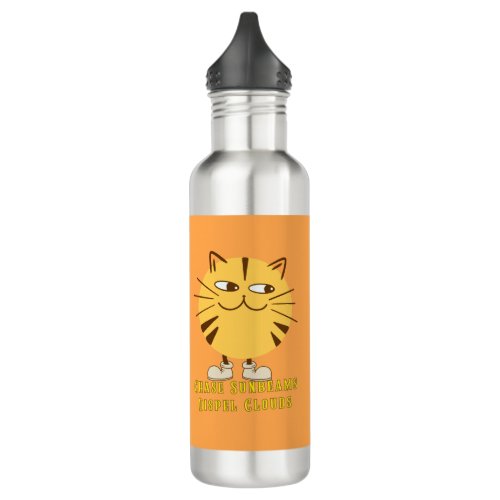 Chase Sunbeams Dispel Clouds Cat Stainless Steel Water Bottle