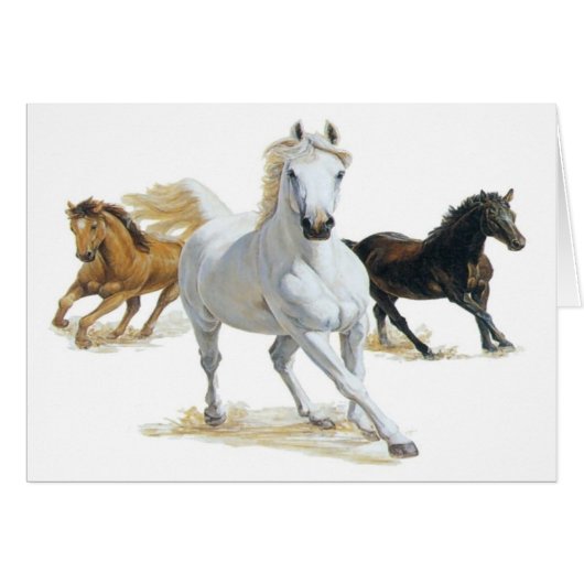 Chase the Wind Cards (Front Horizontal)