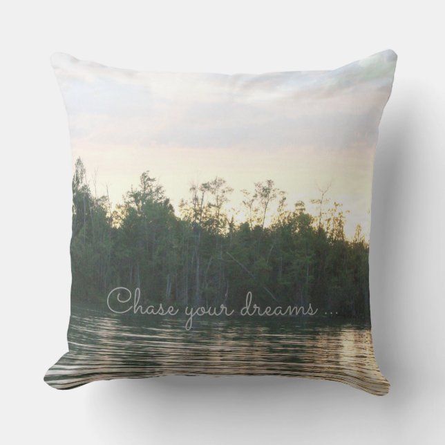 Chase Your Dreams Throw Pillow (Front)